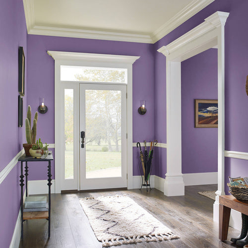 Super Violet, COMPLETE COAT Interior/Exterior Paint & Primer in One